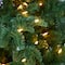5ft. Pre-Lit South Carolina Spruce Artificial Christmas Tree with Clear LED Lights